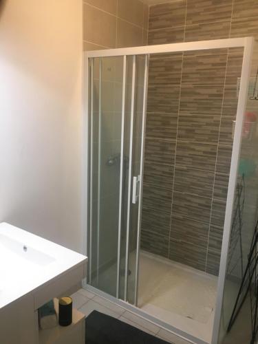 une douche en verre dans une salle de bain avec un lavabo dans l'établissement Jolie 2 pièces confortable, à Ballainvilliers