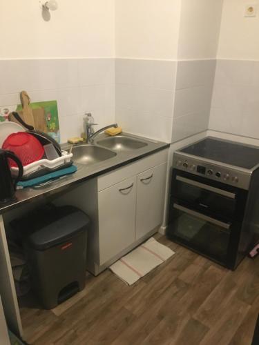 une cuisine avec un évier et une cuisinière dans l'établissement Jolie 2 pièces confortable, à Ballainvilliers