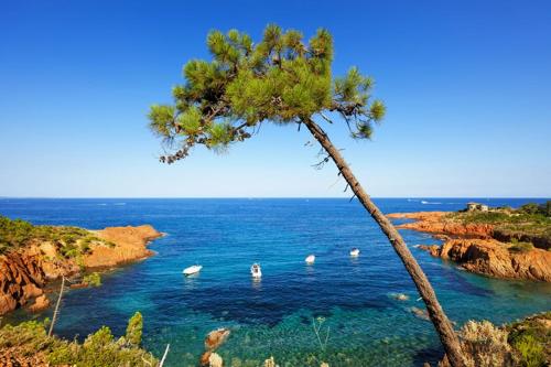 Location estival parfaite : Studio à 50 mètres de la plage, offrant une magnifique vue mer