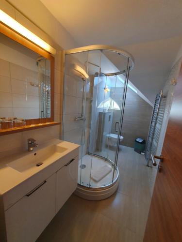 y baño con ducha y lavamanos. en Corvina Hotel-Restaurant, en Mosonmagyaróvár