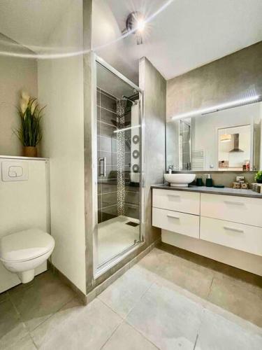 une salle de bain avec une douche, des toilettes et un lavabo dans l'établissement Jolie T2 40m2 hôpitaux avec terrasse et parking, à Montpellier