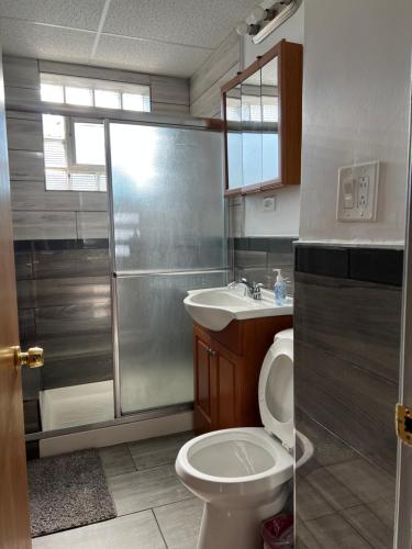 een badkamer met een douche, een toilet en een wastafel bij Ethan 3 rooms in Chicago