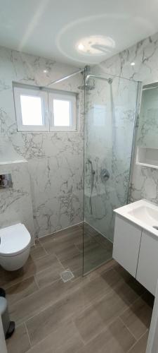 a bathroom with a shower and a toilet and a sink at Christinas 3 in Nerántza