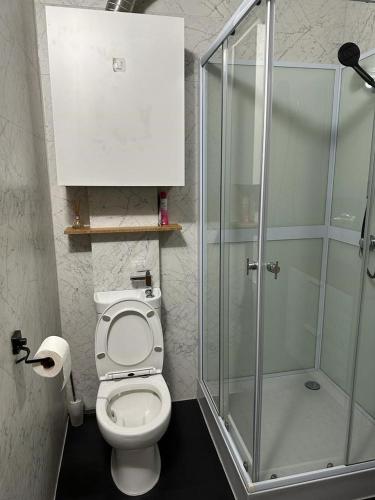 a bathroom with a toilet and a glass shower at Shed 100 in Westerlee