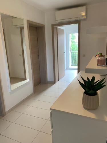 Gallery image of Apartment Jukich in Sveti Filip i Jakov