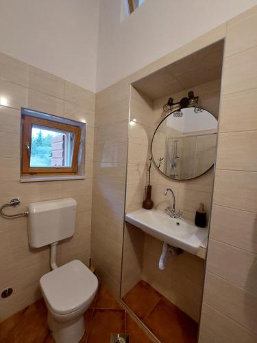 a bathroom with a toilet and a sink and a mirror at Olive Garden House in Šibenik