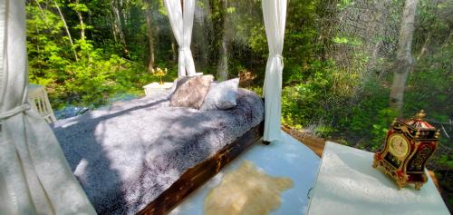 La Cabane Secrète – Fotografie 5