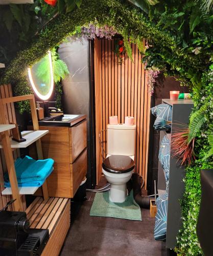 ein Bad mit einem WC und einem Waschbecken in der Unterkunft Jungle House avec Jacuzzi à 10 min de Disneyland -Taille Chambre- in Condé-Sainte-Libiaire