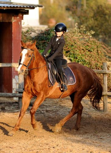 a young child riding on the back of a brown horse at COUNTRY HOUSE in Sezze