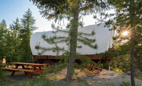 a trailer with a picnic table and a pine tree at North Haven Campground in Bonners Ferry