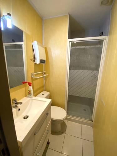 une salle de bain avec toilettes, lavabo et douche dans l'établissement Béziers : studio cosy, à Béziers