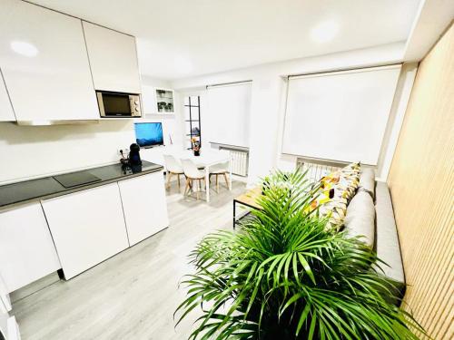 BEST FLAT NEAR REAL MADRID STADIUM