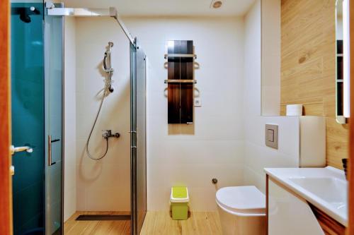 a bathroom with a shower and a toilet and a sink at S35, vila Elsa 1 in Zlatibor