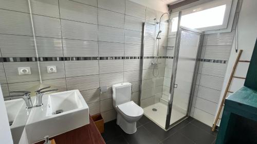 a bathroom with a sink and a toilet and a shower at Kazadoli in Bois-Neuf