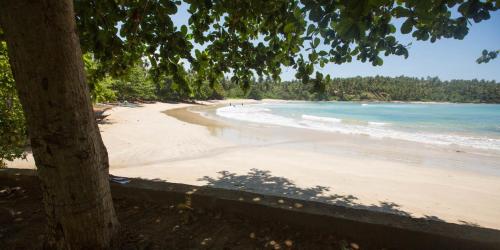 a view of a beach with a tree and the ocean at Salt House in Hiriketiya