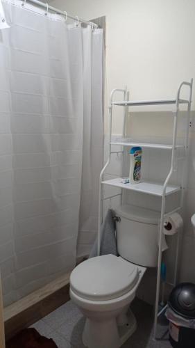 y baño con aseo y cortina de ducha. en Apartamento Costa Ilo, en Ilo