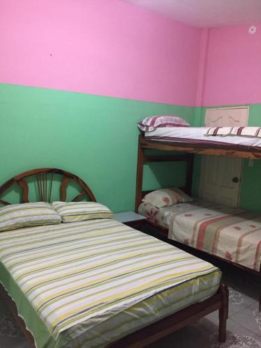 two bunk beds in a room with pink and green walls at Hostal Camping Beach in Salinas