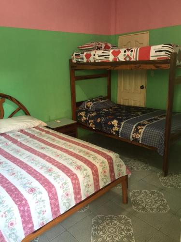 two bunk beds in a room with green walls at Hostal Camping Beach in Salinas