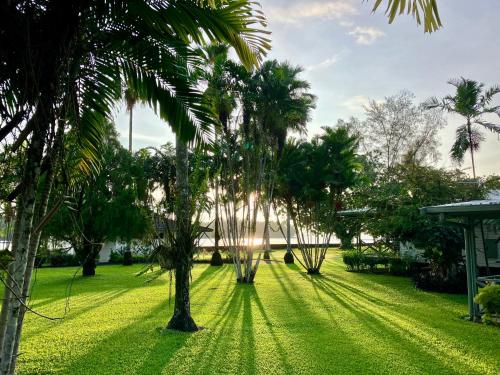 Vonkajšia záhrada v ubytovaní Madang Resort