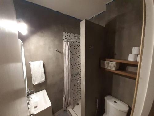 baño con ducha y aseo blanco en Departamento Güemes mar del plata en Mar del Plata