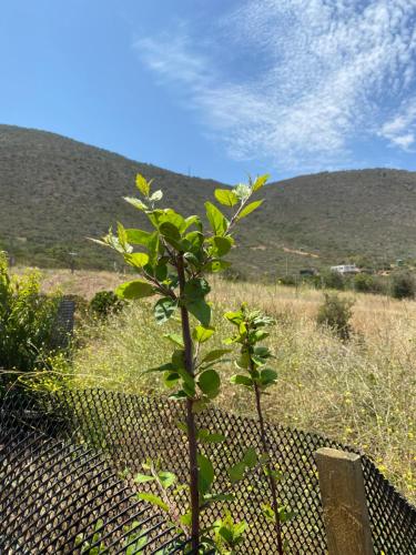 Un paisaje natural cerca de la casa vacacional