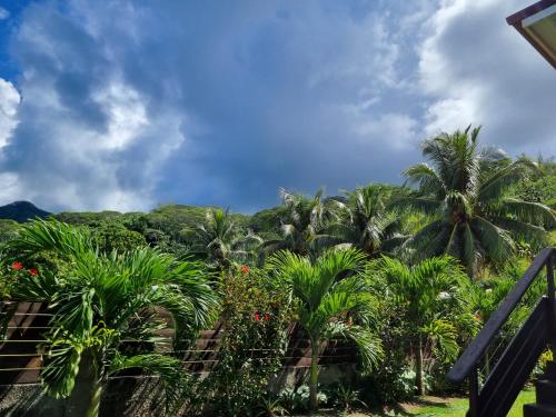 Zahrada ubytování Pension ANAPA LODGE - MOOREA