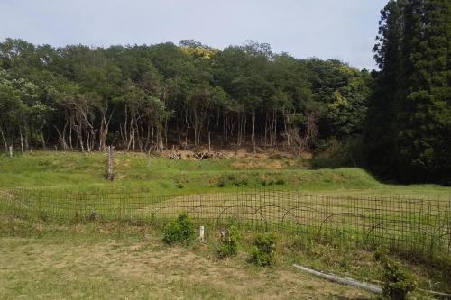 a fence in a field with trees in the background at ちびっこ・わんこ・リゾート　Ｓａｒａｒｉ　（里楽里） in Tabuchi