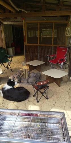a dog laying on the ground next to a table and chairs at ちびっこ・わんこ・リゾート　Ｓａｒａｒｉ　（里楽里） in Tabuchi