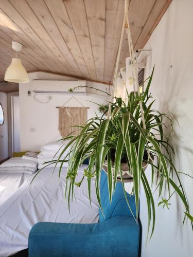 um quarto com um sofá azul e uma planta numa cama em הבקתה הכחולה - The blue cabin em Sha'al