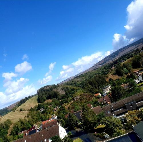 una ciudad en una colina con casas y árboles en CrisAnd 3 Panoramic en Altenau