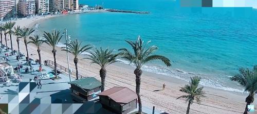 Torrevieja Playa Cura photo 39