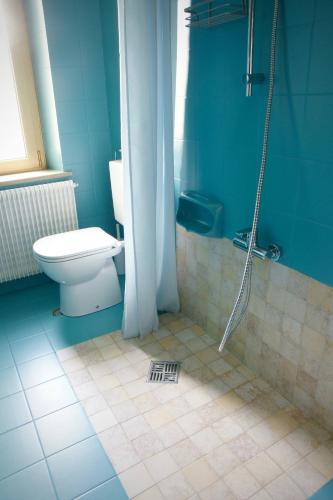 a blue bathroom with a toilet and a shower at B&B The Secret Garden in Buia