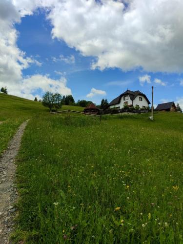 a field of green grass with a house in the background at Bucovina mea in Breaza