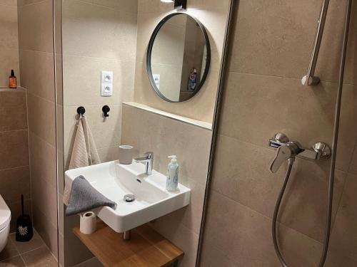 StachyにあるApartmán na Zadověの洗面台と鏡付きシャワーを備えたバスルーム