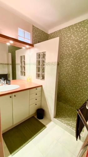 une salle de bain avec douche et lavabo dans l'établissement Chaleureux appartement, à Nice