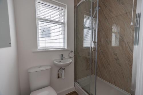 a bathroom with a toilet and a sink and a shower at Lundy Sea View Villa - Mobility friendly in Bideford