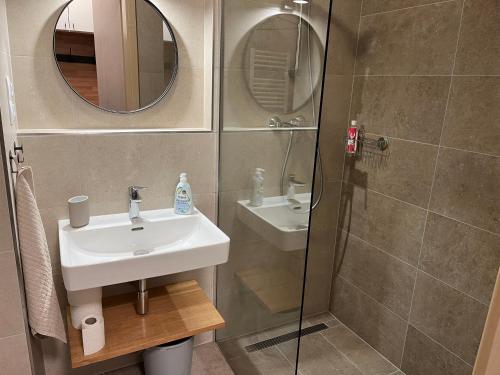 a bathroom with a sink and a shower at Apartmán na Zadově in Stachy