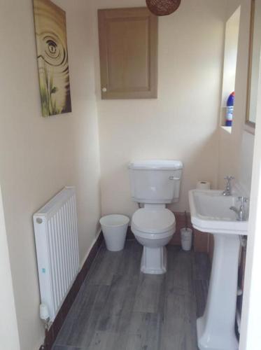 a bathroom with a toilet and a sink at Lynn Cottage, Newport in Newport