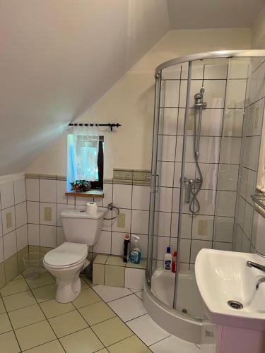 a bathroom with a toilet and a shower and a sink at Dom w Rzeczce Góry Sowie in Rzeczka