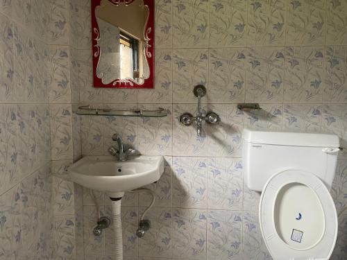 un bagno con un water, un lavandino e uno specchio di Yuriko Guest House a Pokhara