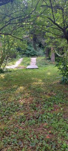 a path in the middle of a park with trees at Fruškogorska kuća - Andrevlje lounge, naselje Testera in Čerević