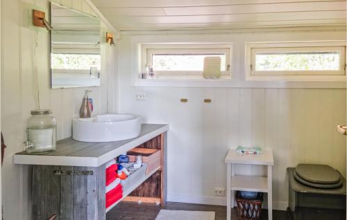 ein kleines Bad mit einem Waschbecken und einem Spiegel in der Unterkunft Stunning Home In Risdal With 3 Bedrooms in Mjåvatn