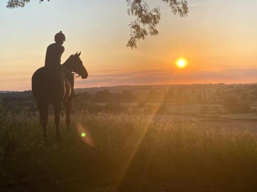 a person riding a horse in a field at sunset at Stunning 'Room with a view' in Banbury