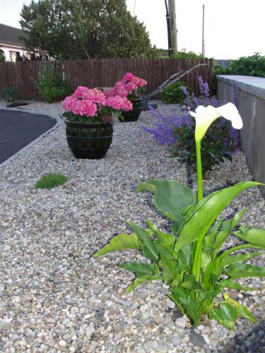 Gallery image of Island View Bed and Breakfast in Doolin
