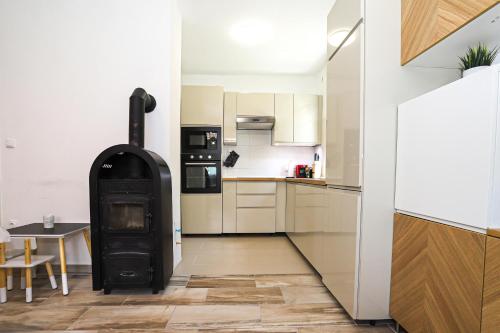 Kuchyň nebo kuchyňský kout v ubytování Golden Apartman Balatonlelle