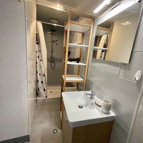 une petite salle de bain avec un lavabo et une douche dans l'établissement Appartement intra-muros bien situé et agréable à proximité des théâtres, à Avignon