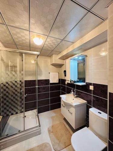 uma casa de banho com um lavatório, um chuveiro e um WC. em Ak Home Dublex - apartment em Çanakkale