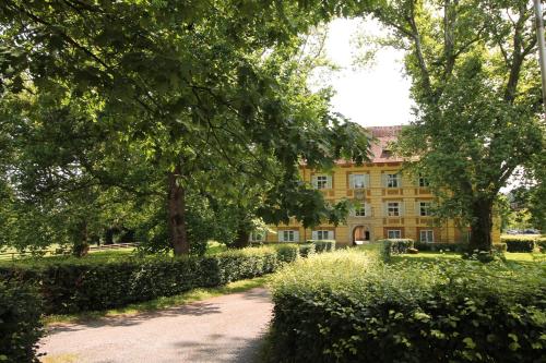 a large yellow building with trees and a dirt road at Schloss Frauenthal in Deutschlandsberg