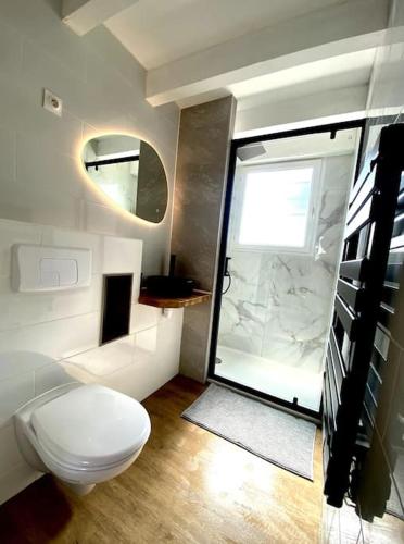 une salle de bain avec toilettes et douche en verre dans l'établissement Joli T2 à 1km de la chambre d'amour, à Anglet