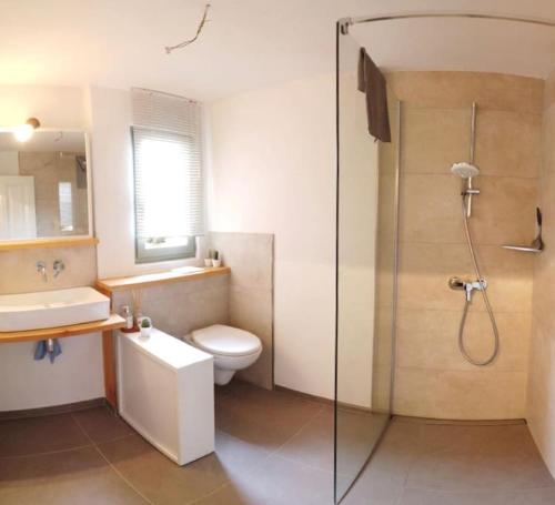 Klein aber fein in der Altstadt في آنغرمونده: حمام مع دش ومرحاض ومغسلة